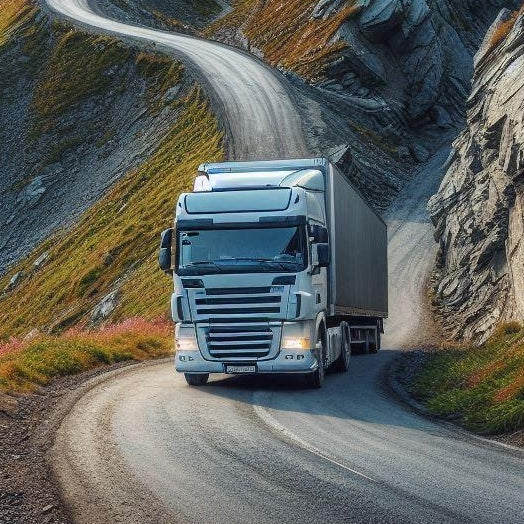 Overcoming Adversity in the Trucking Industry: A Roadmap to Resilience
